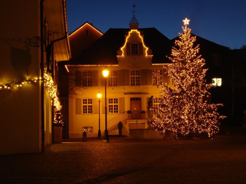 Hotel Gasthof Zum Ochsen Arlesheim Eksteriør bilde